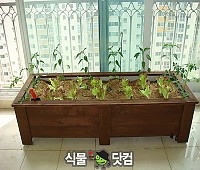텃밭화분